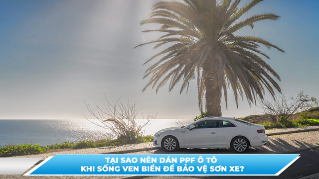 TẠI SAO NÊN DÁN PPF Ô TÔ KHI SỐNG VEN BIỂN ĐỂ BẢO VỆ SƠN XE?